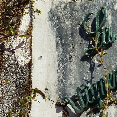 Manoir De La Vigneraie Panzió Athée-sur-Cher Kültér fotó